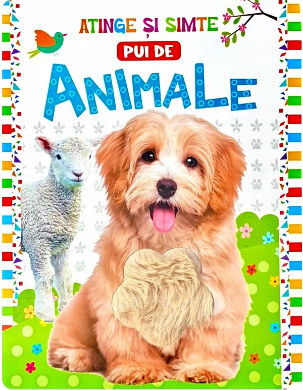 Atinge si simte: Pui de animale