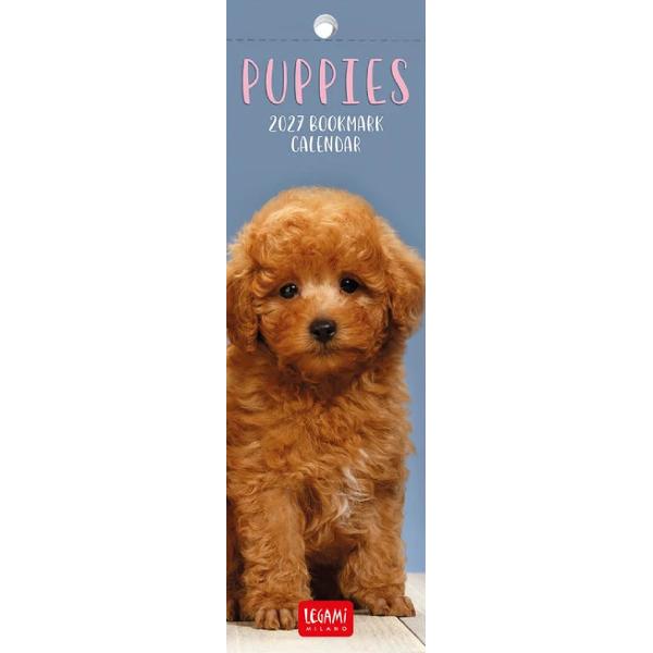 Calendar 2027. Semne de carte. Puppies