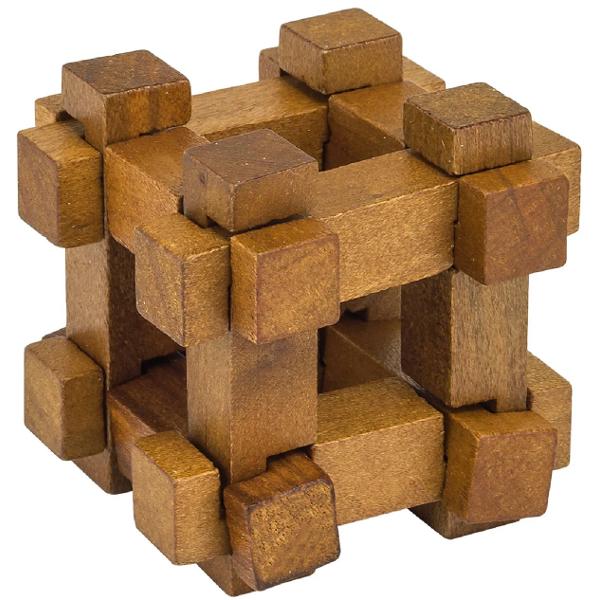 Mini puzzle mecanic. Great Minds: Darwin's Cross Puzzle