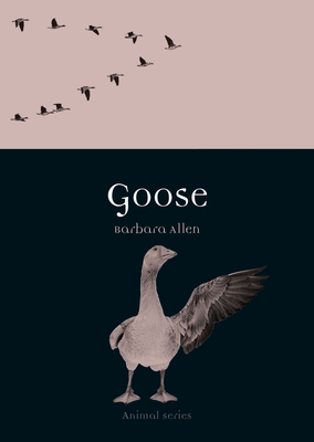 Coperta cărții 'Goose - Barbara Allen'