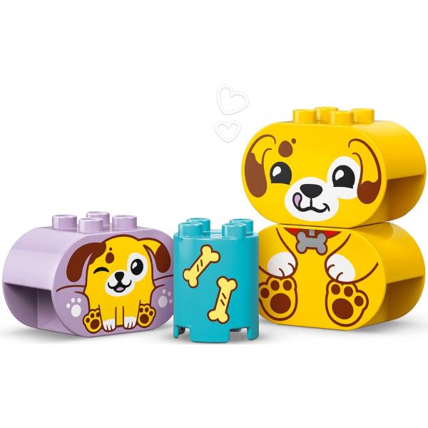 Lego Duplo: Sortator de forme. Casa pentru catei