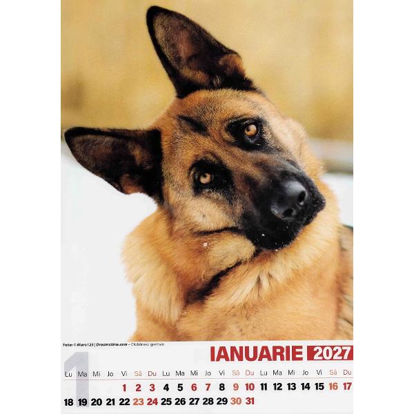 Calendar perete 2027. Caini A3