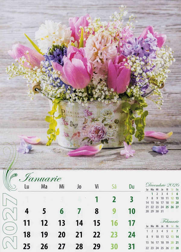 Imaginea produsului 'Calendar perete 2027. Aranjamente florale'