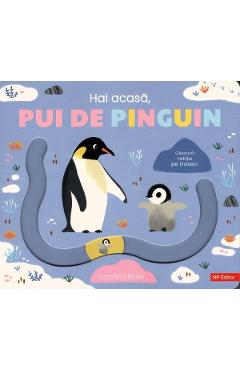 Coperta cărții 'Hai acasă, pui de pinguin - Carolina Buzio'