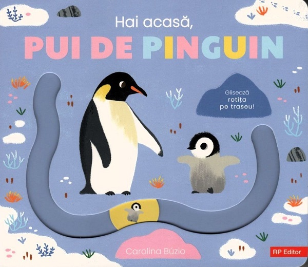 Coperta cărții 'Hai acasă, pui de pinguin - Carolina Buzio'