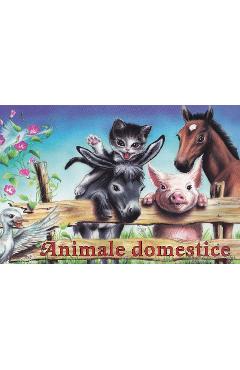 Coperta cărții 'Animale domestice. Pliant - Smaranda Burcă'