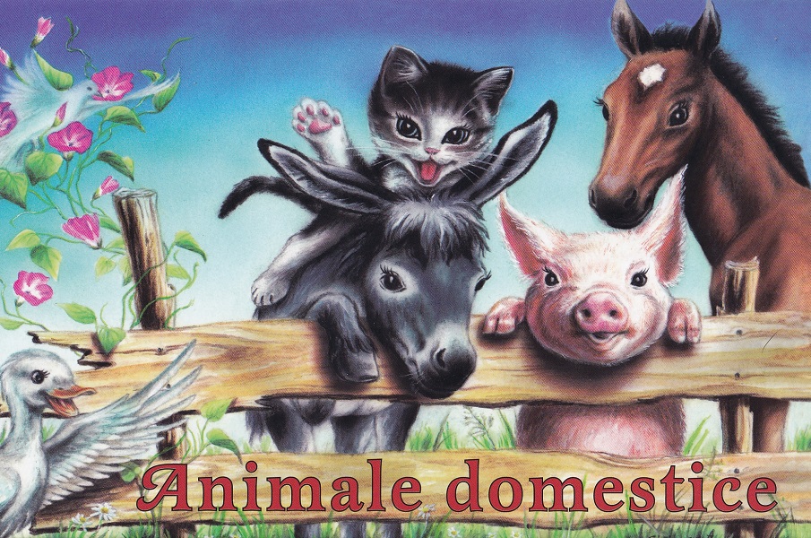 Coperta cărții 'Animale domestice. Pliant - Smaranda Burcă'