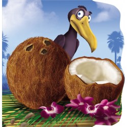 Nuca de cocos - Primii Pasi