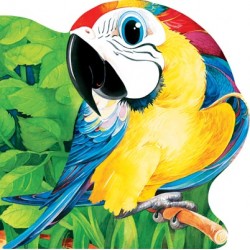 Papagalul - Primii Pasi