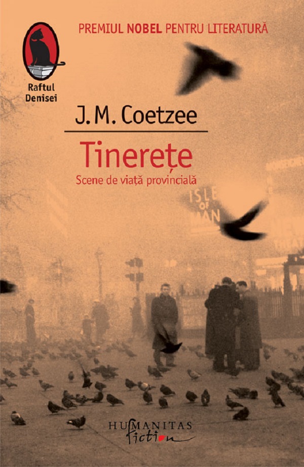 Tinerete. Scene din viata provinciala - J.M. Coetzee