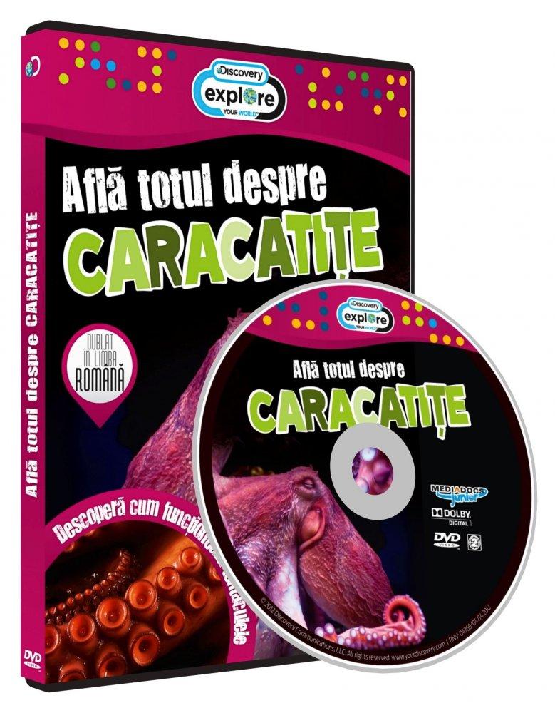 DVD Afla totul despre Caracatite