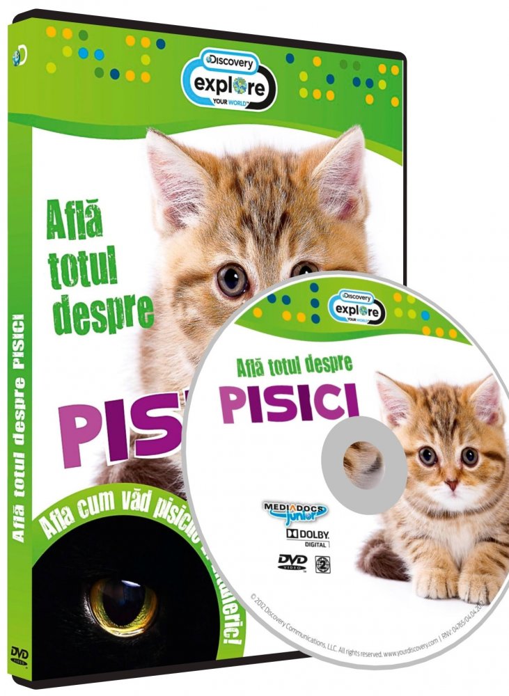 DVD Afla totul despre Pisici