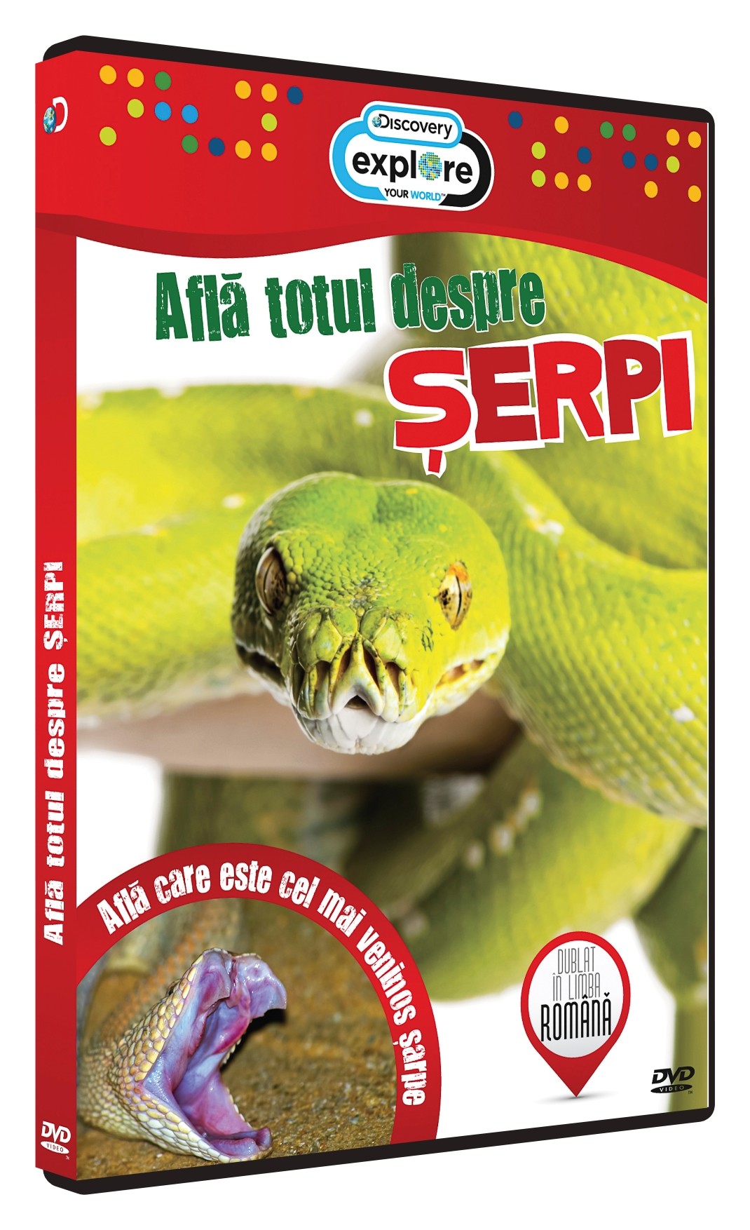 DVD Afla totul despre Serpi