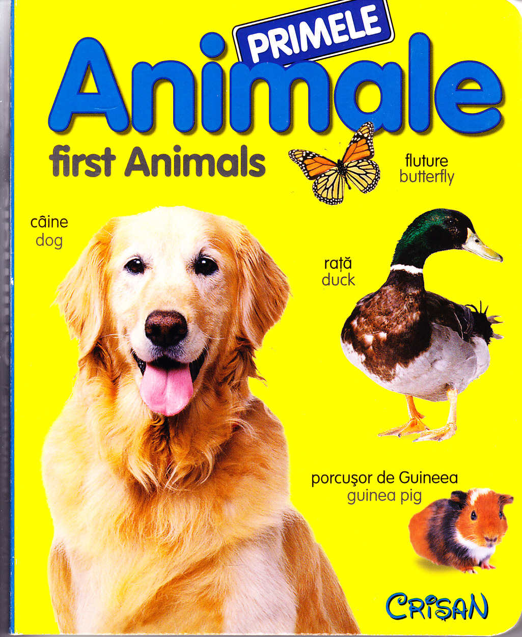 Primele animale - First animals