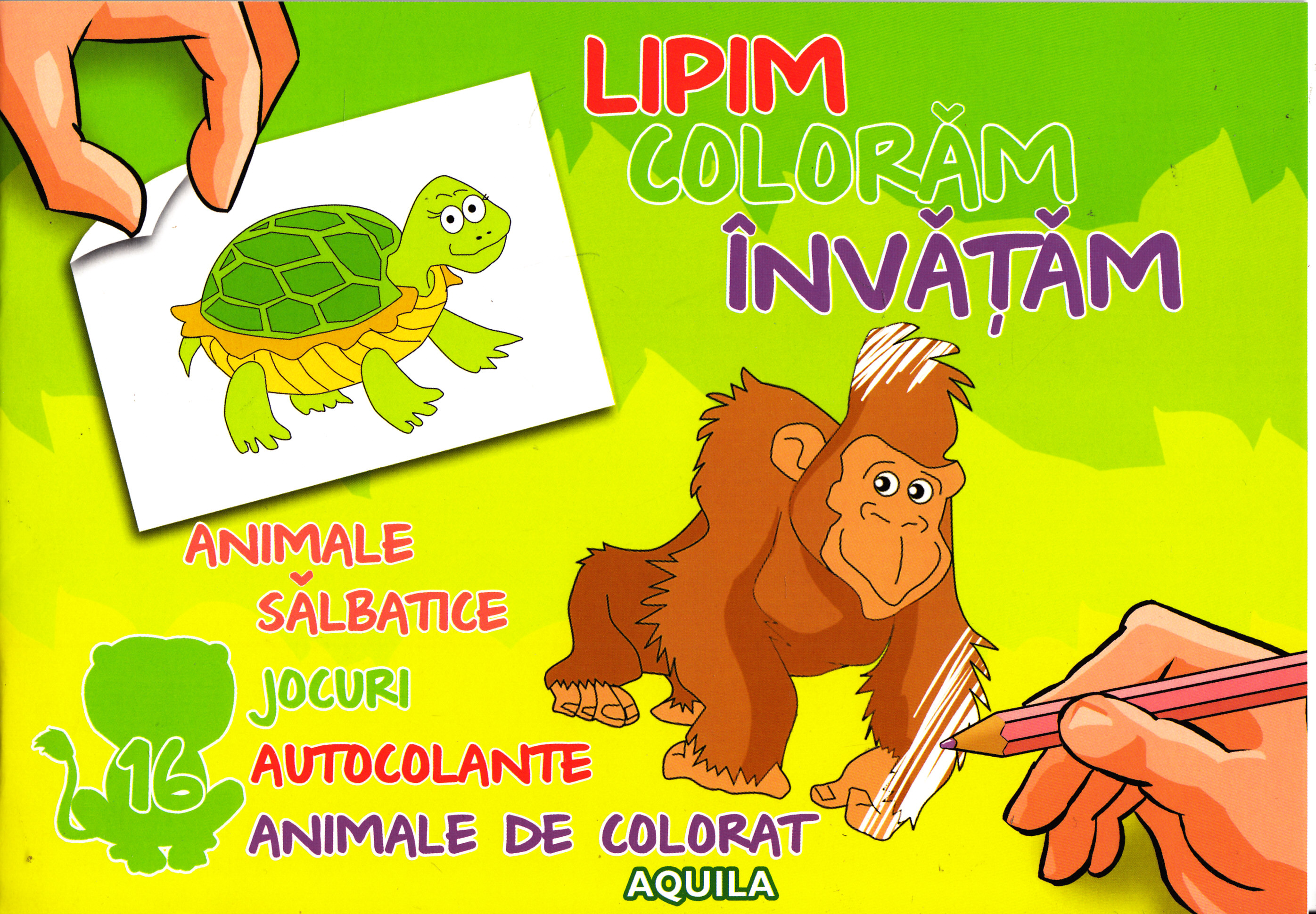 Lipim, coloram, invatam - Animale salbatice