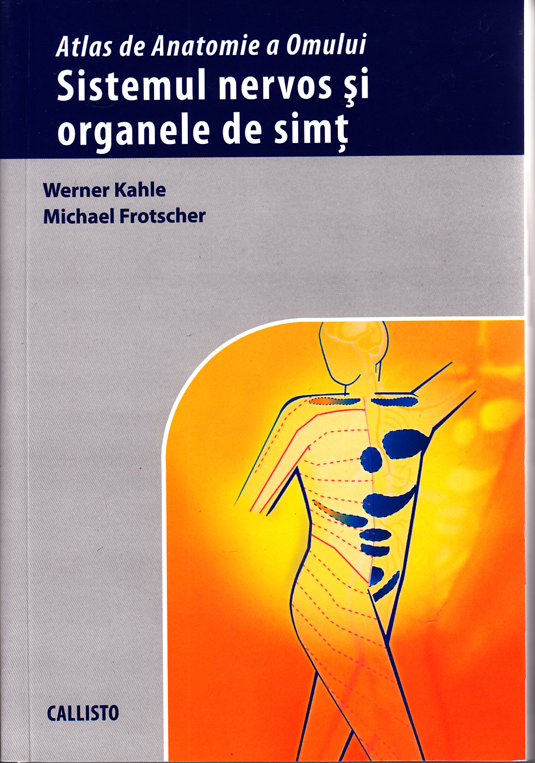 Sistemul nervos si organele de simt - Werner Kahle, Michael Frotscher