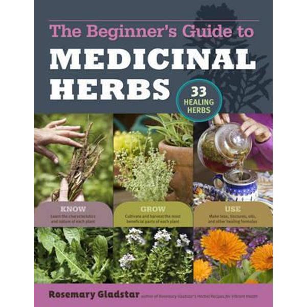Beginner's Guide to Medicinal Herbs