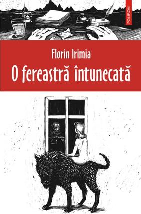 O fereastra intunecata - Florin Irimia