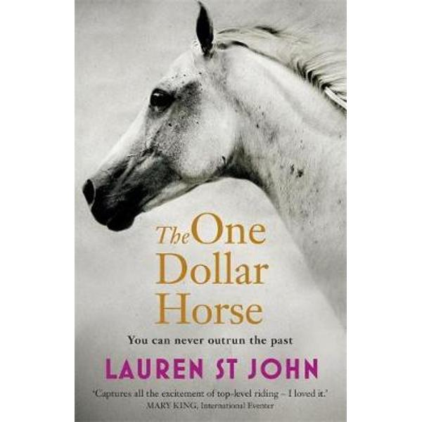 One Dollar Horse