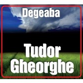 2CD Tudor Gheorghe - Degeaba