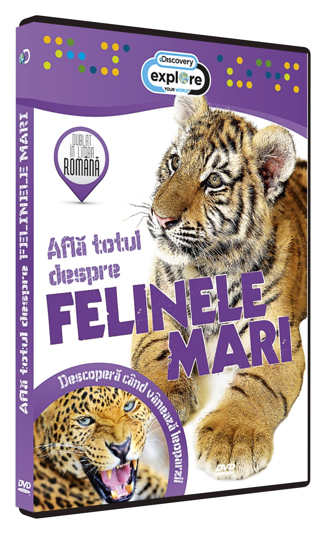 DVD Afla totul despre Felinele mari