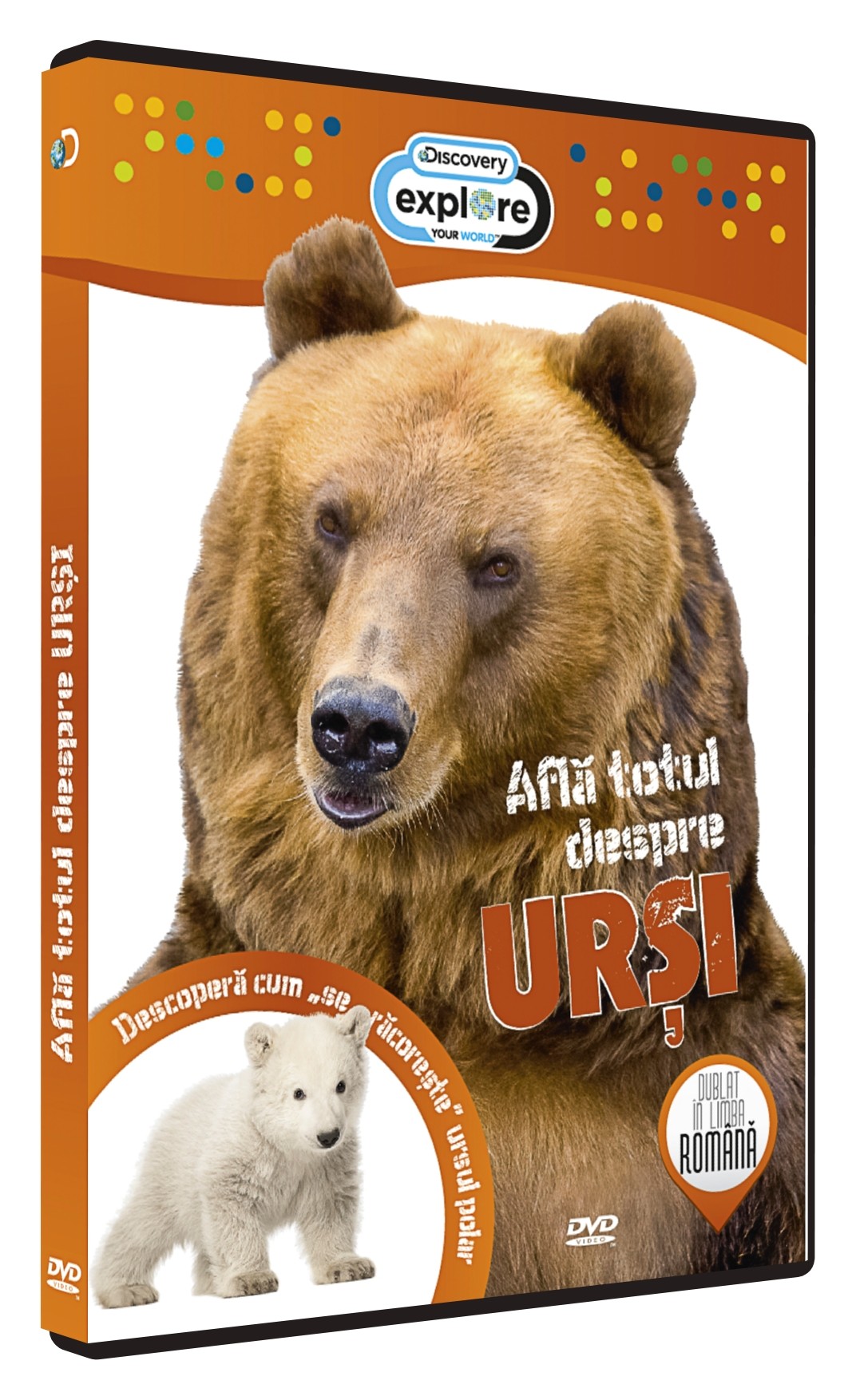 DVD Afla totul despre Ursi
