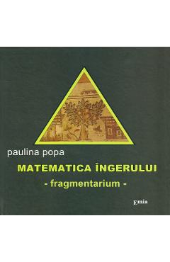 Matematica ingerului - Paulina Popa