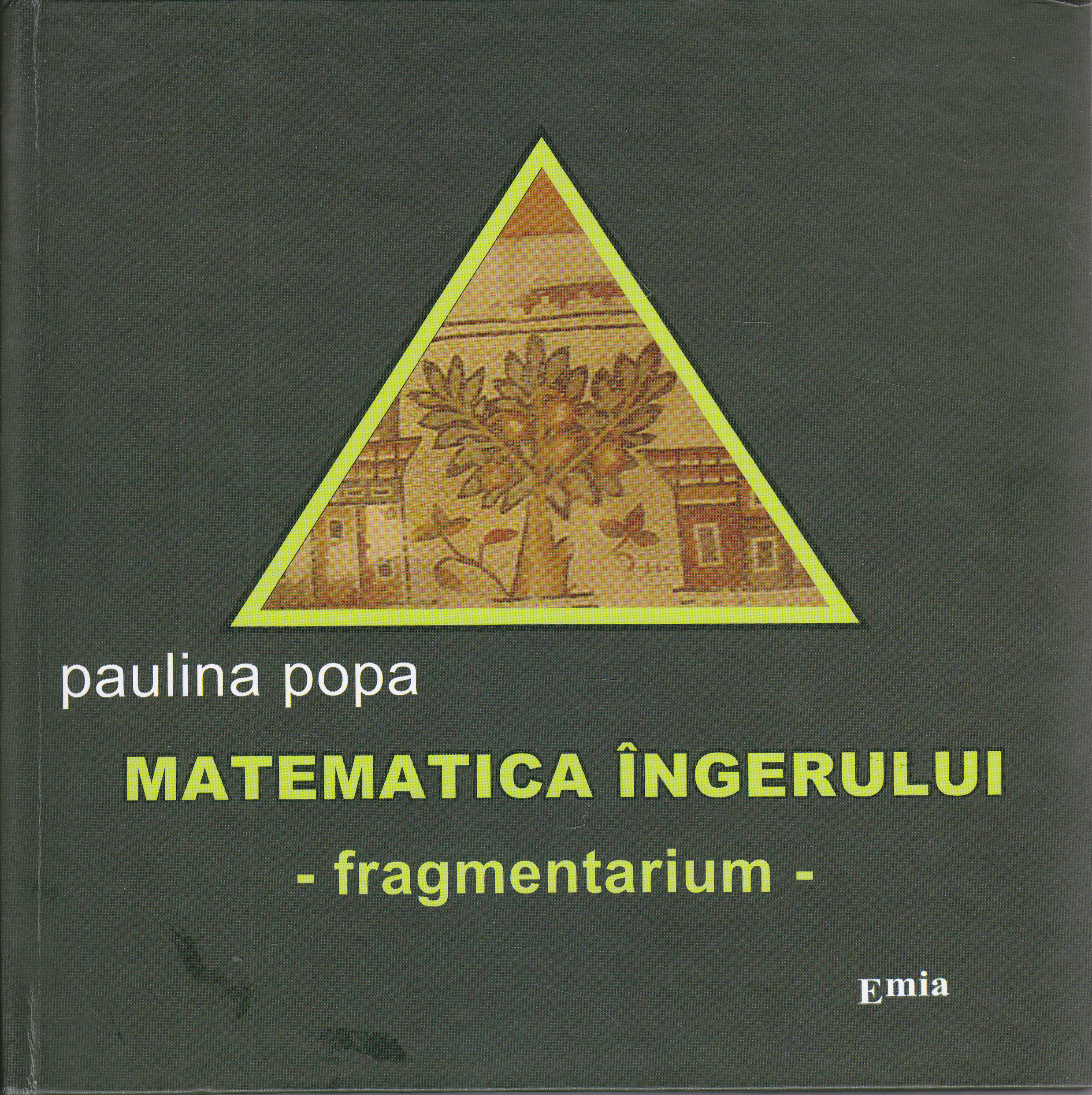 Matematica ingerului - Paulina Popa