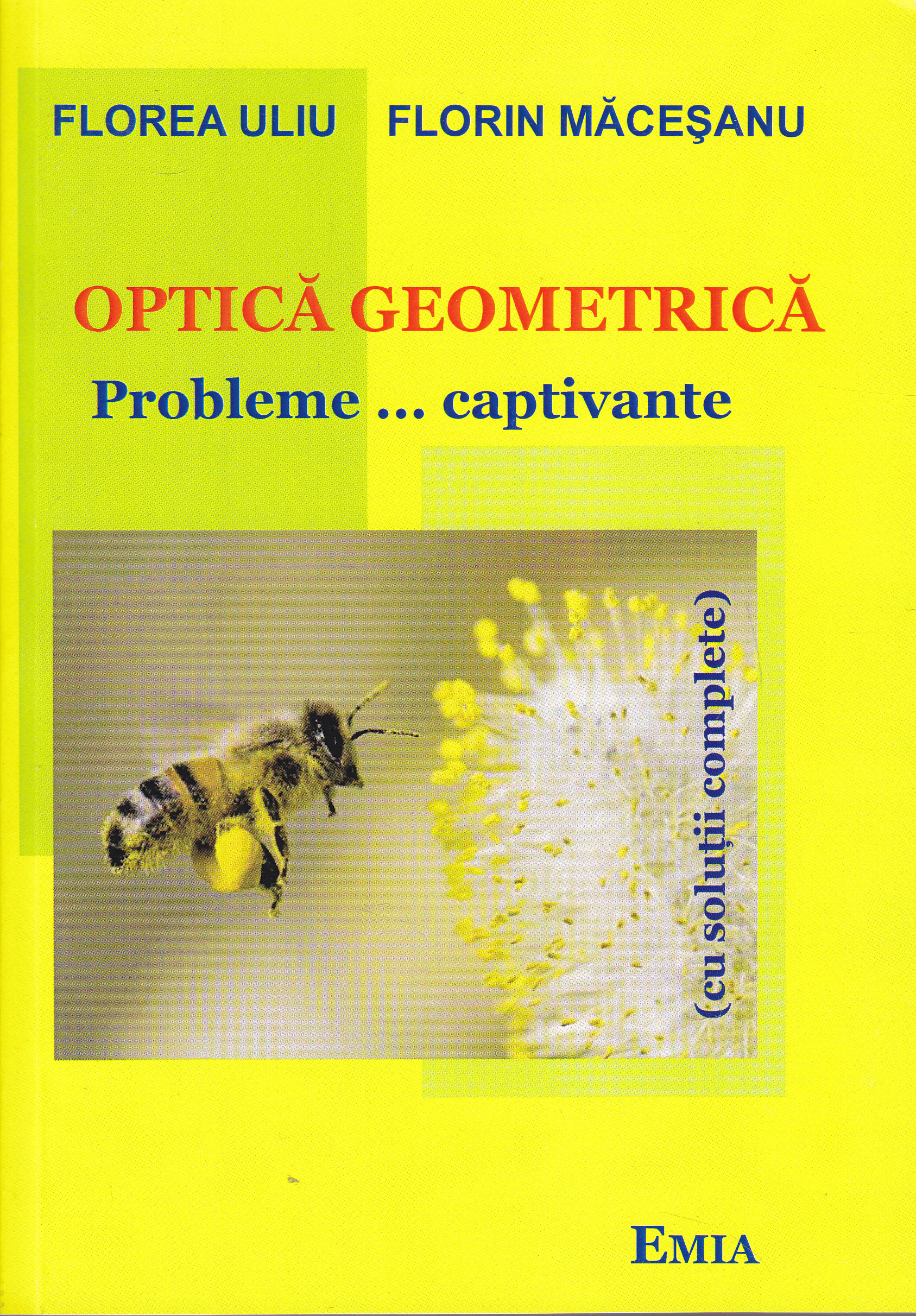 Optica geometrica. Probleme... captivante - Florea Uliu, Florin Macesanu