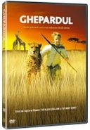 DVD Ghepardul - Duma