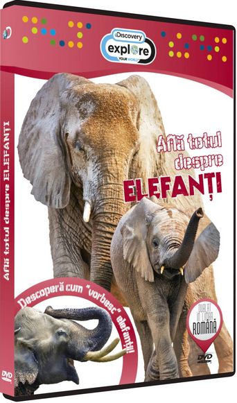 DVD Afla totul despre Elefanti