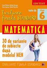 Matematica Cls 6 Teste De Evaluare Finala Standard - Sorin Peligrad