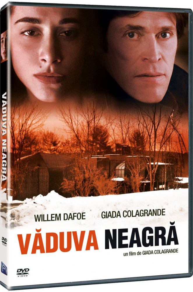 DVD Vaduva Neagra
