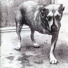 CD Alice In Chains - Alice In Chains