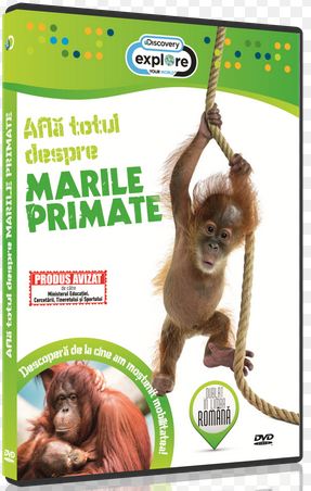 DVD Afla totul despre Marile primate