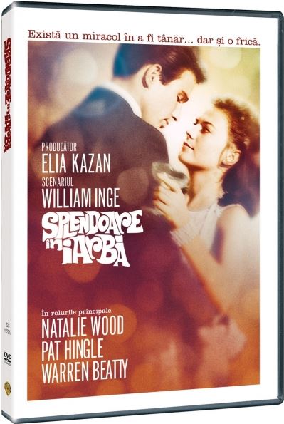 DVD Splendoare in iarba - Splendor in the grass
