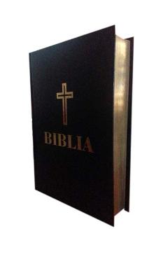 Coperta cărții 'Biblia neagra aurie'