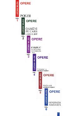 Pachet 6 volume: Opere - Lucian Valea