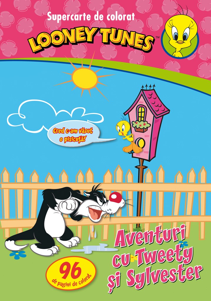 Looney Tunes - Aventuri cu Tweety si Sylvester - Supercarte de colorat