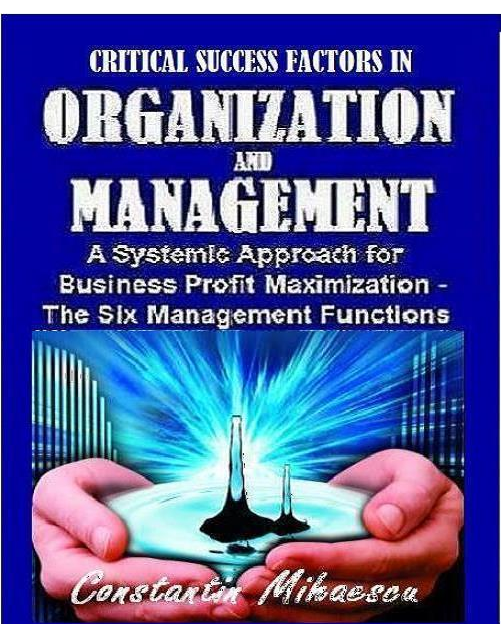 Critical Success Factors In Organization And Management - Constantin Mihaescu