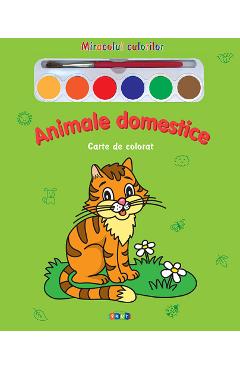 Coperta cărții 'Animale domestice - Miracolul culorilor - Carte de colorat'