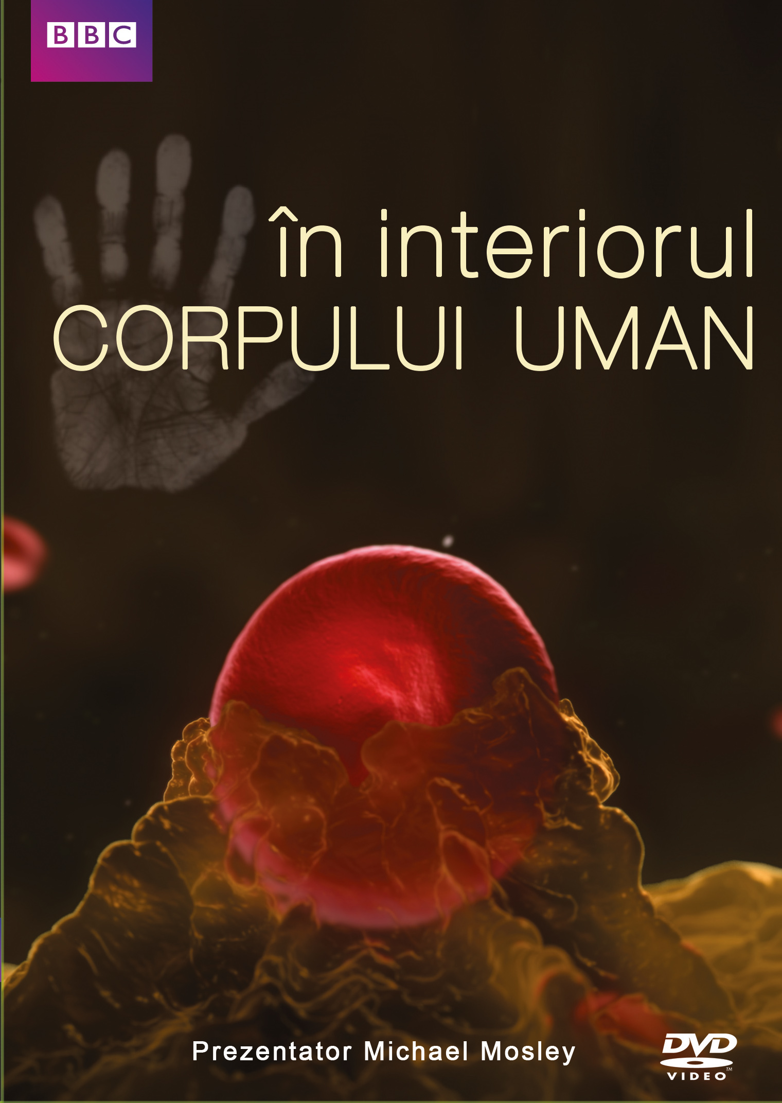 DVD In Interiorul Corpului Uman - Bbc