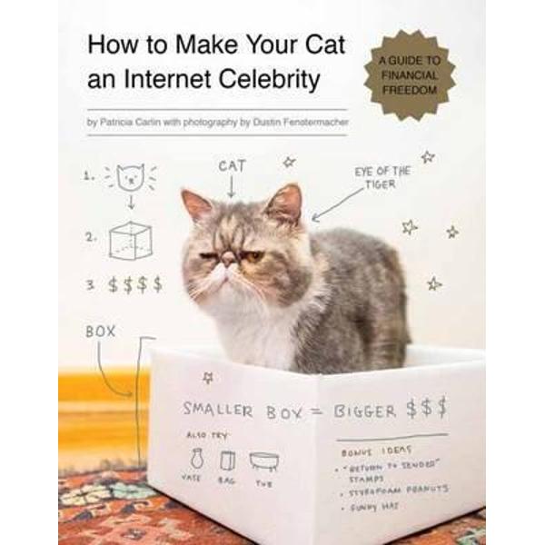 How to Make Your Cat an Internet Celebrity