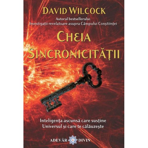 Cheia Sincronicitatii - David Wilcock