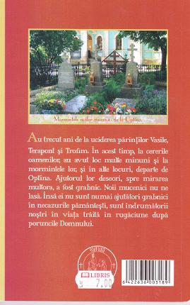 Coperta cărții 'Ostenii ceresti'
