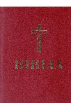 Coperta cărții 'Biblia pentru batrani (visinie, format mare)'