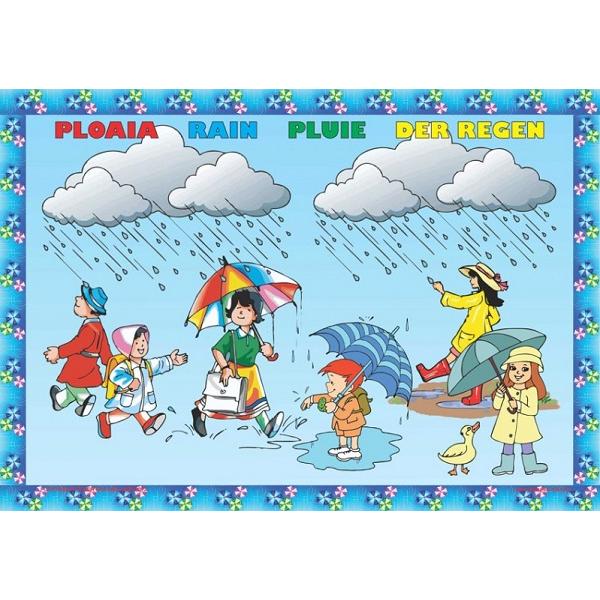 Set planse: Fenomenele naturii