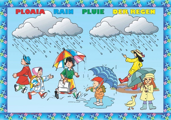 Set planse: Fenomenele naturii