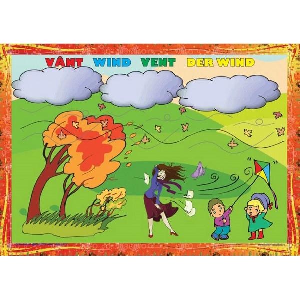 Set planse: Fenomenele naturii