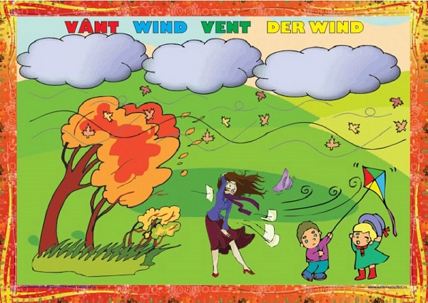 Set planse: Fenomenele naturii